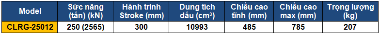 ts ky thuat kich 2 chieu 250 tấn 300 mm